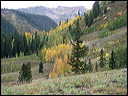 031_aspen_05