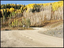 058_aspen_05