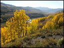 059_aspen_05