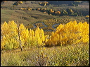 060_aspen_05