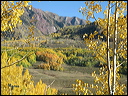 069_aspen_05