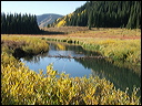 070_aspen_05