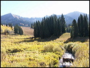 080_aspen_05