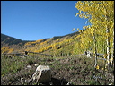 088_aspen_05
