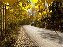 111_aspen_05