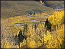 127_aspen_05