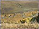 129_aspen_05