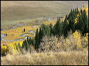 130_aspen_05