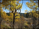 140_aspen_05