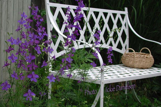 larkspur__bench_and_basket.jpg