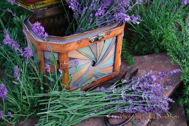 lavender_and_center_basket.jpg