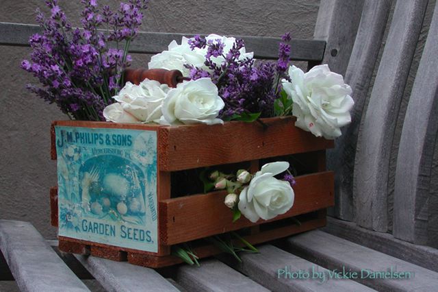 lavender_and_white_roses.jpg