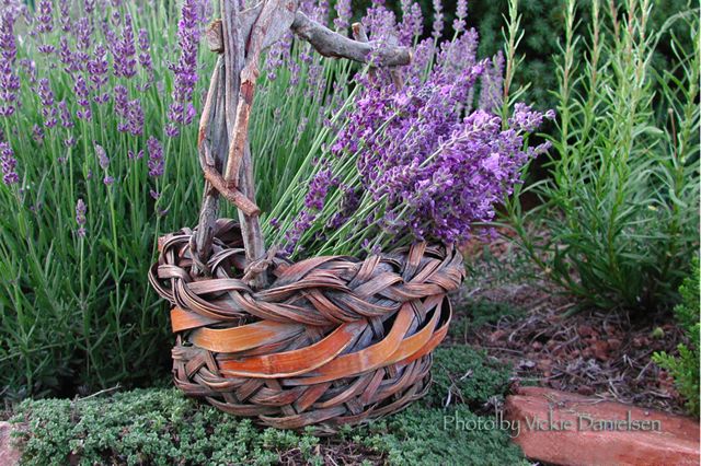 lavender_in_basket.jpg