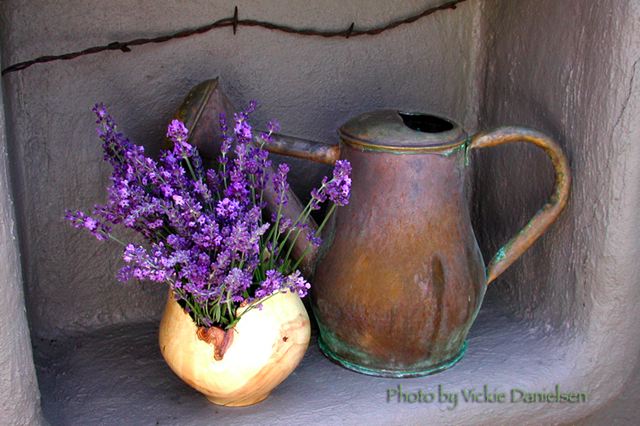 lavender_in_niche.jpg