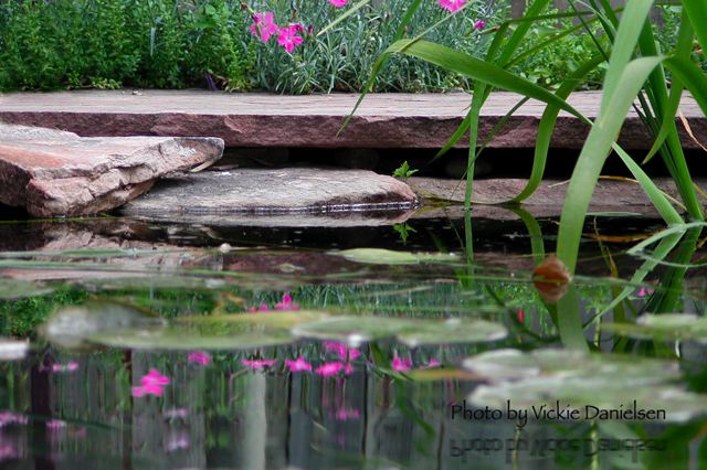 pond_with_dianthus.jpg