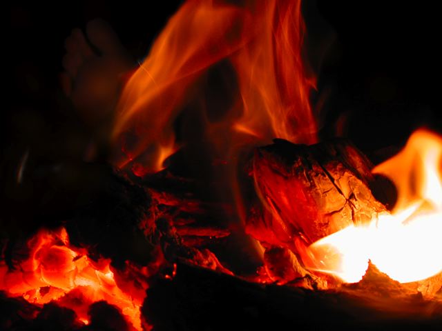 the_phoenix_(_or_is_it_f_27.jpg
