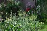 adobe_and_flora