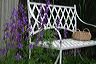 larkspur__bench_and_basket