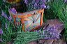 lavender_and_center_basket