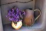 lavender_in_niche