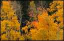 099
