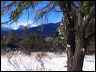 winter_solstice2006-_276936