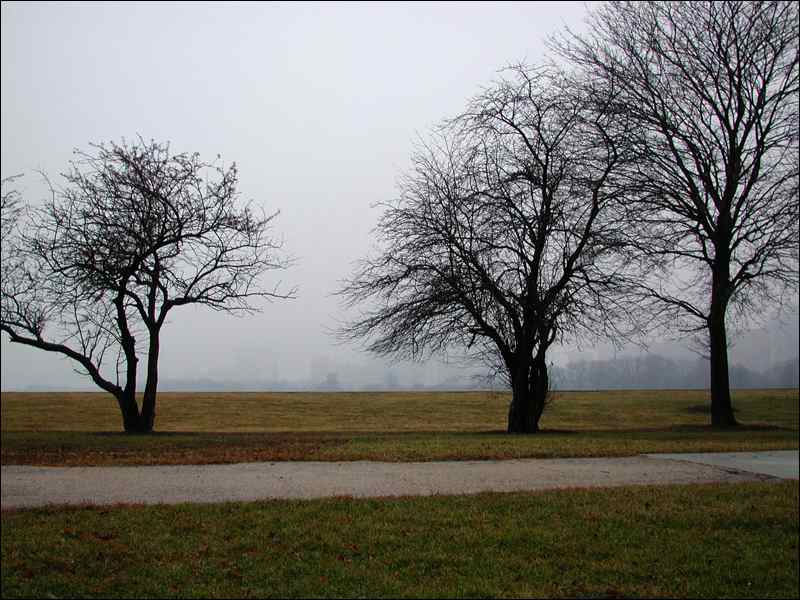 chgo_w_solstice__06_a__3.jpg