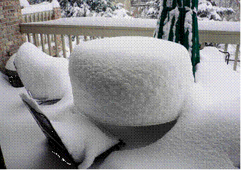 image001.gif