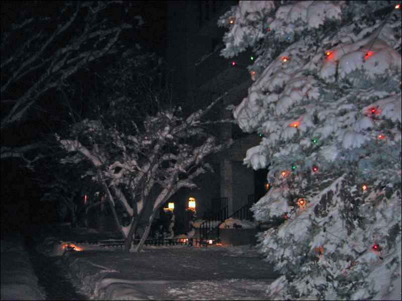 solstice_lights_at_dawn.jpg