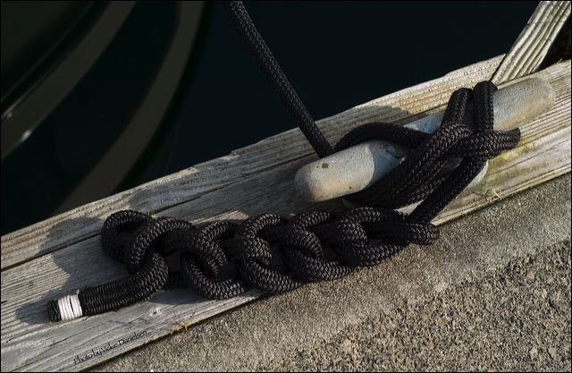 all_knotted_up.jpg