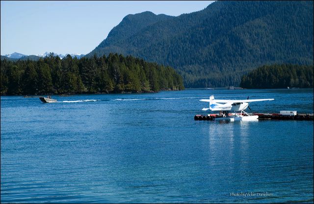 beautiful_tofino.jpg