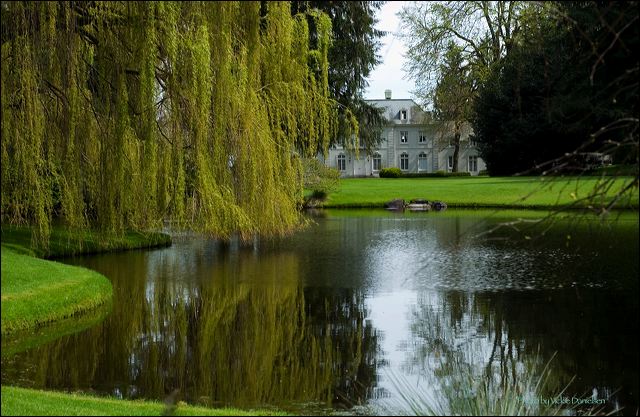 bloedel_house_and_lake.jpg