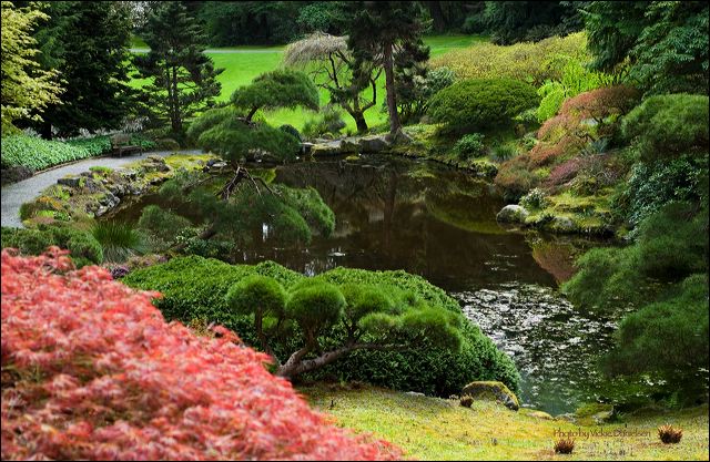 bloedel_pond.jpg
