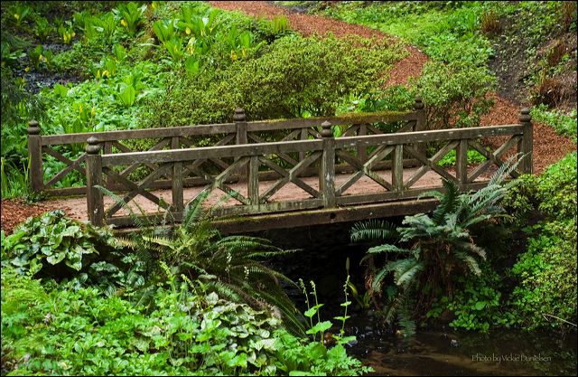 christmas_pond_bridge.jpg