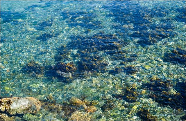 cool__clear_water.jpg