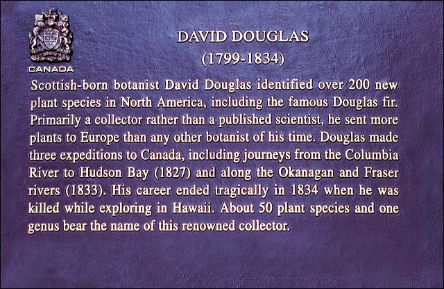 david_douglas.jpg