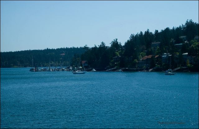 friday_harbor.jpg