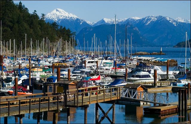 horseshoe_bay_marina.jpg