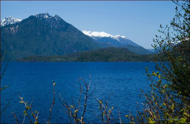 lake_kennedy.jpg