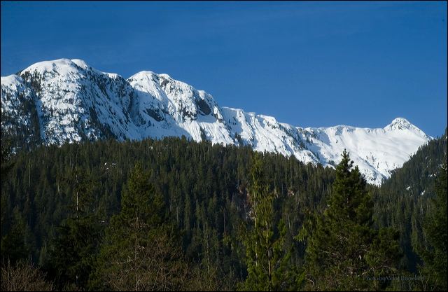 majesty_en_route_to_tofino.jpg