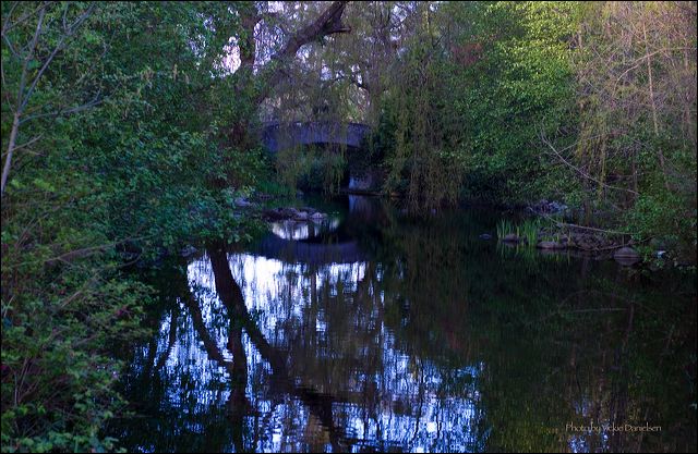 other_bridge_from_the_bridg.jpg