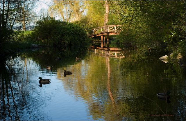 spring_floats_by_the_bridge.jpg