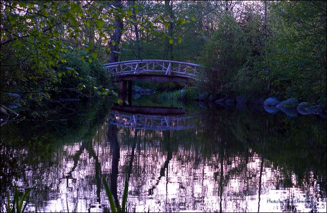 sunset_at_stanley_park.jpg