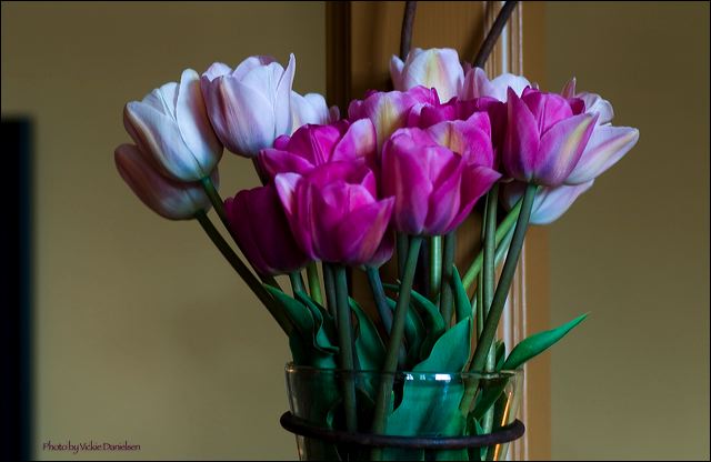 tulips_in_a_glass.jpg