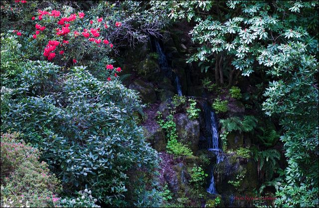 waterfalls_abound.jpg